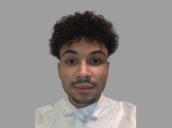 Roomgo HK - Stephane - 26 - Sai Ying Pun