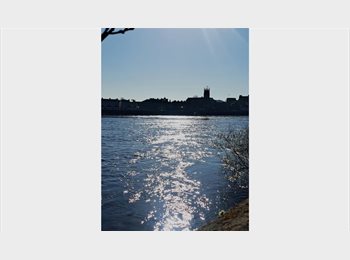 Roomgo IE - Double bright spacious room, Limmerick - €850 pcm