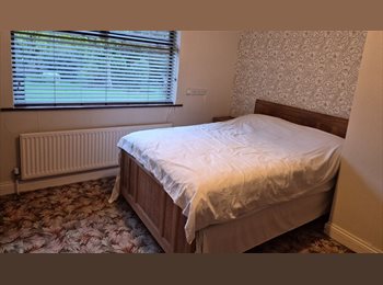 Roomgo IE - Room to Rent, Ireland - €800 pcm
