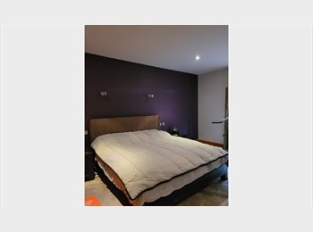 Roomgo IE - Room let, Wexford - €750 pcm