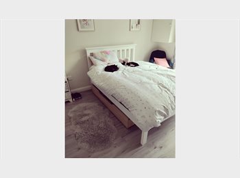 Roomgo IE - Short term let, Limmerick - €480 pcm
