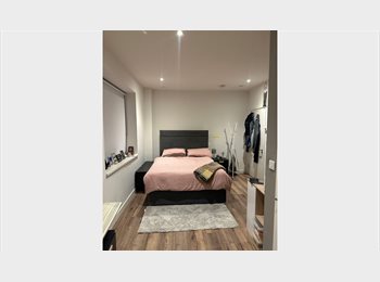 Roomgo IE - Bright Ensuite Room in Modern Harold’s Cross Apartment, Dublin - €1,450 pcm