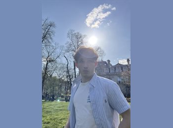 Roomgo IE - Calvo - 22 - Dublin