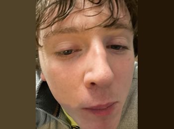 Roomgo IE - Seanluke doherty o brien - 24 - Dublin