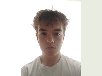 Roomgo IE - Daniel - 20 - Dublin