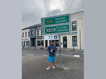 Roomgo IE - Dino - 42 - Roscommon