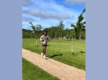 Roomgo IE - Osman  - 28 - Dublin
