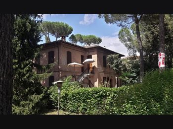 Roomgo IT - Camera singola a pochi minuti dal centro, Siena - 330 € al mese