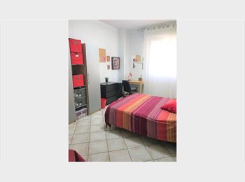 Roomgo IT - NOVOLI (pressi Università) AMPIA CAMERA A RAGAZZO, Firenze - 450 € al mese