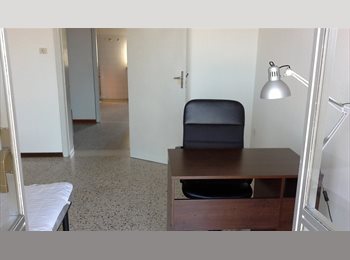 Roomgo IT - Camera singola a Urbino, Urbino - 180 € al mese