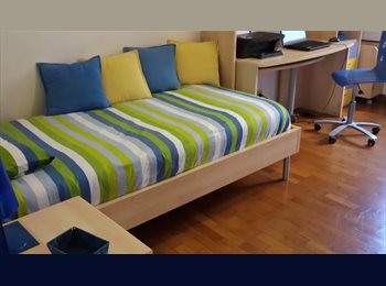 Roomgo IT - Ampia e luminosa camera singola con uso bagno e cucina, Sempione - S. Siro - Fiera - 650 € al mese