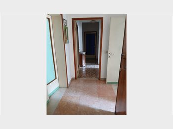 Roomgo IT - Camera Singola, Siena - 300 € al mese
