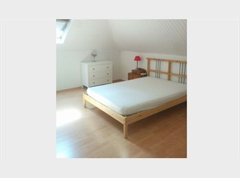 Appartager LU - House share 20 min from Luxembourg City, Esch-sur-Alzette - 590 € / Mois