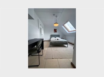 Appartager LU - Grande chambre proche centre-ville de Luxembourg, Luxembourg - 1.150 € / Mois