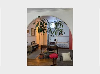 Roomgo MX - Condesa,centrico, solo mujeres, Cuauhtémoc - MX$7,000 por mes