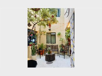 Roomgo MX - Casa Margarito, Guadalajara - MX$4,300 por mes