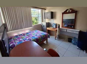 Roomgo MX - Americana, Chapultepec, Expiatorio, Consulado, Guadalajara - MX$6,000 por mes