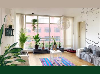 Roomgo MX - ¡Gran Oportunidad, Cuarto en Penthouse muy iluminado y amplio, con vista increíble en la Roma ⛪️ !, Cuauhtémoc - MX$9,310 por mes