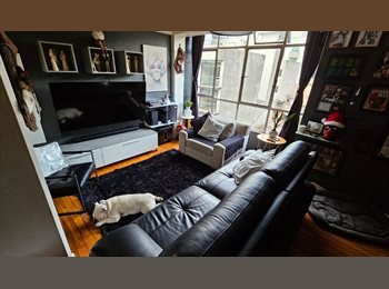 Roomgo MX - Roomiea un par de calles del Angel Reforma, Cuauhtémoc - MX$9,850 por mes