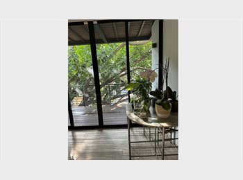Roomgo MX - Habitación en la departamento en la Col. Álamos, México - D.F. - MX$5,500 por mes