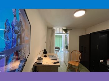 Roomgo MX - Cerca US Embassy, independiente todo privado amueblado, Miguel Hidalgo - MX$8,500 por mes