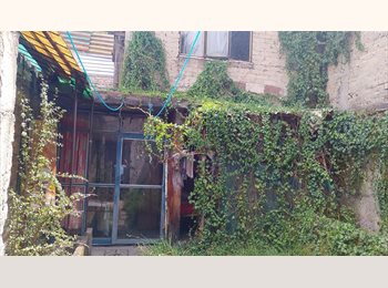 Roomgo MX - Se Renta cuarto dentro de mi casa, Alvaro Obregón - MX$2,500 por mes