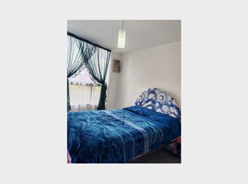 Roomgo MX - Habitación en renta cerca de Chapultepec + hospitales y transporte – Lista para habitar, Miguel Hidalgo - MX$6,800 por mes