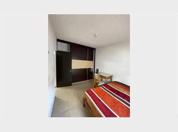 Roomgo MX - RENTO CUARTO, Querétaro - MX$4,500 por mes