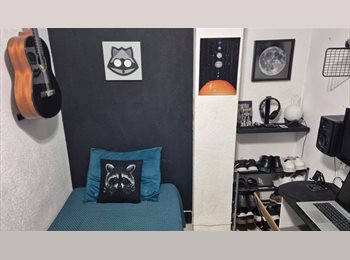Roomgo MX - Se renta habitación en colonia Roma norte, Cuauhtémoc - MX$5,800 por mes