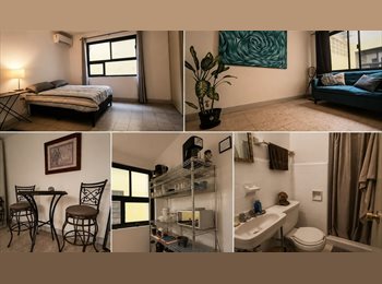 Roomgo MX - Espacio Disponible en una de las Zonas con Más Personalidad de Monterrey, Monterrey - MX$8,500 por mes