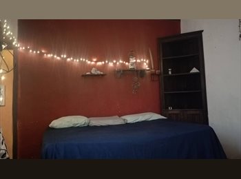 Roomgo MX - ROMMIES!!!, Playa del Carmen - MX$6,000 por mes