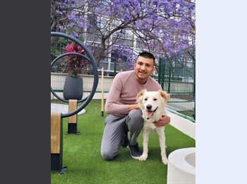 Roomgo MX - jorge - 30 - Miguel Hidalgo