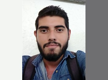 Roomgo MX - alfonso - 32 - México - D.F.