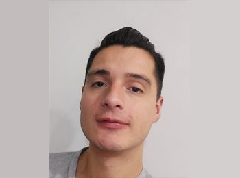 Roomgo MX - david  - 25 - México - D.F.