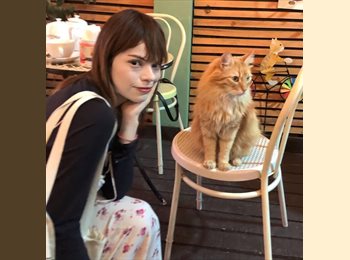 Roomgo MX - Viviana - 31 - Benito Juárez