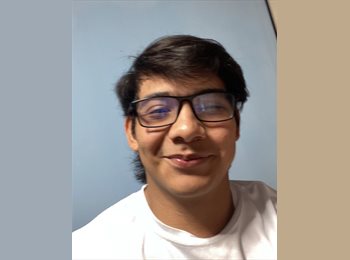 Roomgo MX - Pedro Andres Mendoza Verastegui - 22 - Monterrey