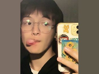 Roomgo MX - Dante Lopez  - 18 - México - D.F.