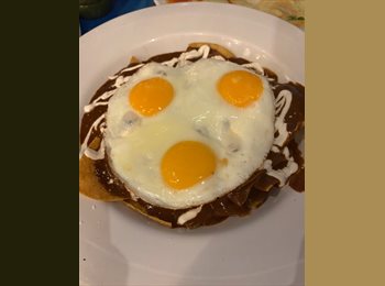 Roomgo MX - Desiréé  - 18 - Mérida