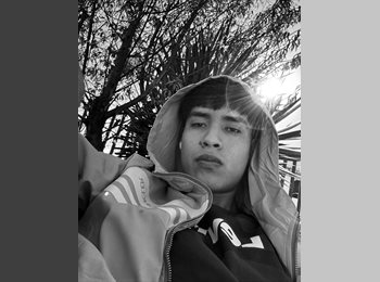 Roomgo MX - kevs - 18 - Querétaro