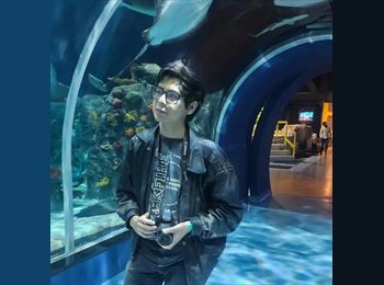 Roomgo MX - Alberto - 18 - México - D.F.