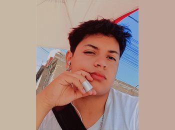 Roomgo MX - Luis David Zarate Sanchez  - 20 - Alvaro Obregón