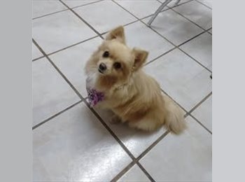 Roomgo MX - Oscar - 24 - Zapopan