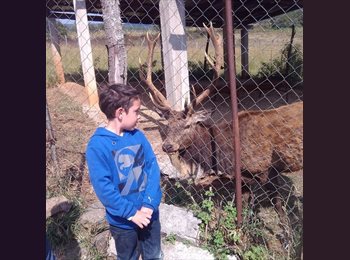 Roomgo MX - Diego - 20 - Guadalajara