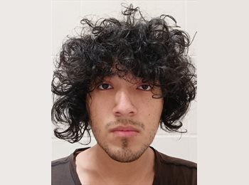 Roomgo MX - Luis Angel Cardenas Ortiz - 19 - Querétaro