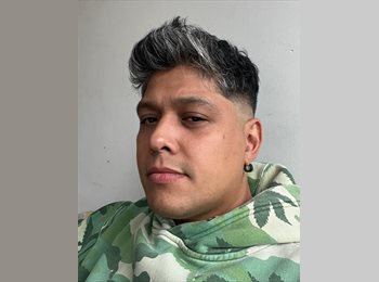 Roomgo MX - Luis Flores - 37 - México - D.F.