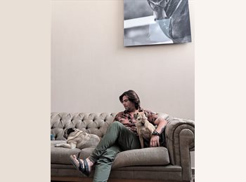 Roomgo MX - Mario  - 33 - Querétaro