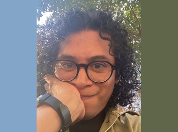 Roomgo MX - Rolando Solis - 31 - Miguel Hidalgo