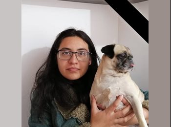 Roomgo MX - Halina - 37 - Puebla