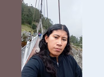 Roomgo MX - Candelaria - 28 - Querétaro