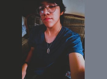 Roomgo MX - Guillermo  - 18 - México - D.F.